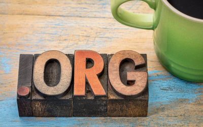 Nonprofit Audit Triggers That Put Ellis County Nonprofits at Risk